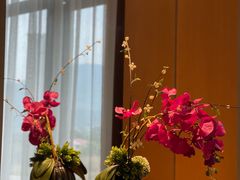 -凤翔首邑温泉度假村