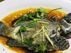 清蒸海斑-哈味食店(外伶仃岛店)