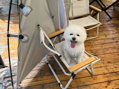 -上海山野camping·户外天幕烧烤·团建拓展营地