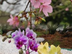 -广州市帽峰山景区