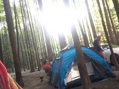 -山王坪喀斯特国家生态公园