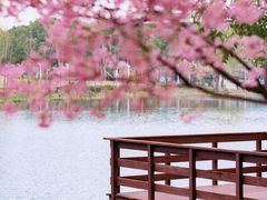 -新江湾城公园