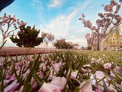 -东港音乐喷泉广场