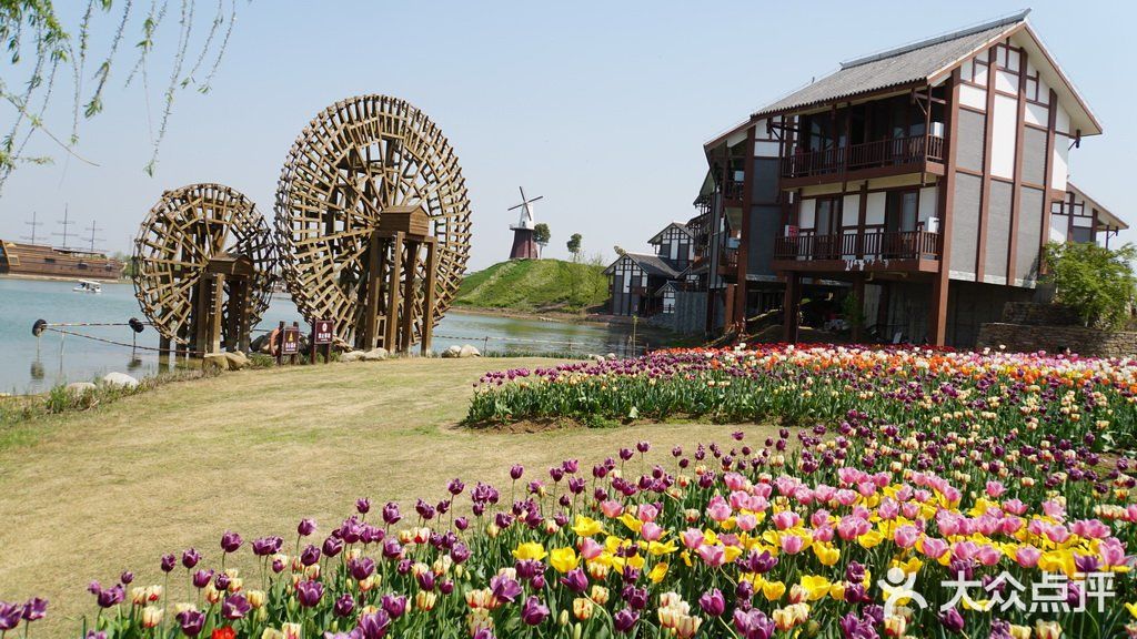 梦中花园——湖北孝感金卉庄园