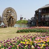 梦中花园——湖北孝感金卉庄园