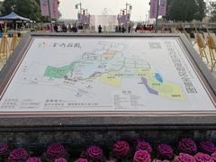 -金卉庄园