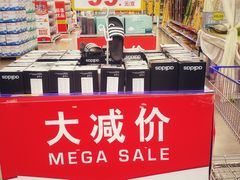 -麦德龙(浦东店)