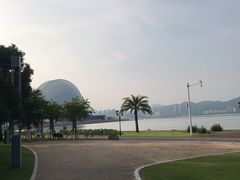-野狸岛