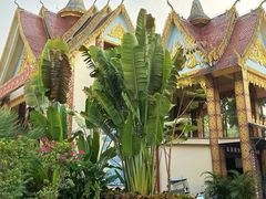 -西双版纳傣族园