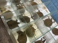 -茗荔园农庄(大涌店)
