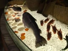 -蓝色派对KTV(聚然广场店)