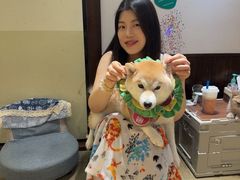 -逗柴咖啡屋·狗咖猫咖宠物桌游