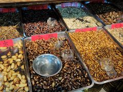 -昆虫窝子·特色云南菜(拓东路总店)