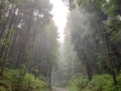-山王坪喀斯特国家生态公园