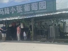 -马陆小张葡萄园农家乐