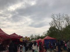 -秀丽东方