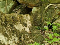 -本溪汤沟绿石谷森林公园