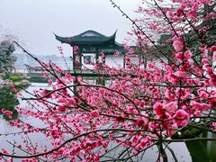 -郭庄景区