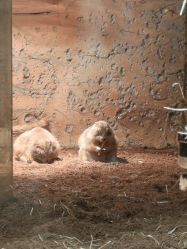 -Zoolung Zoolung动物主题公园(海信广场店)