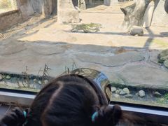 -温州动物园-北门售票处