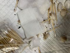 -奈斯宠物医院·核磁CT·异宠专科·内镜(中南店)