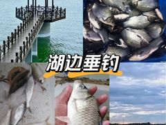 -南京金牛湖风景区