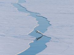 -西月城谭豆花(光华店)