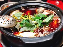 -老杨砂锅鱼庄