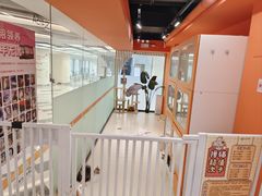 -三花喵·撸猫购宠·宠物生活馆(虹桥南丰城店)