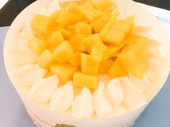 -维尔纳斯·生日蛋糕·动物奶油冰淇淋蛋糕(六里桥店)