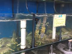 -蚝专家(北滘店)