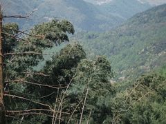 -九华山风景区月身宝殿