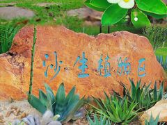 -东莞植物园