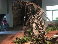 -自贡恐龙博物馆