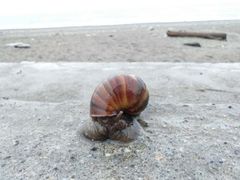 -七星潭蓝天广场