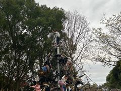 -宁波儿童公园(鄞州区)