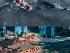 -西霞口神雕山野生动物世界