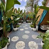 成都新店‼️沉浸式体验氛围感泰式餐厅