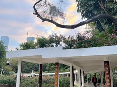 -人民公园(罗湖区)