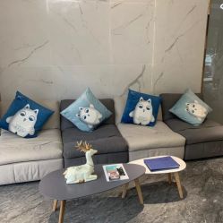 -MC皮肤管理中心