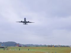-空港花田景区