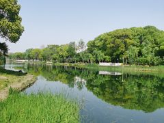 -新江湾城公园