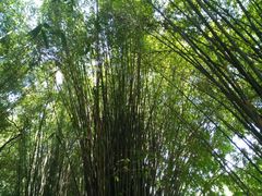 -清远鱼水旅游风景度假区