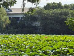 -范蠡湖公园