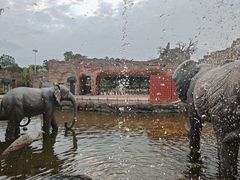 -美的鹭湖探索王国