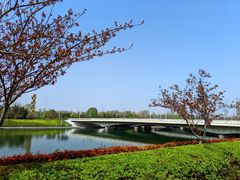 -郑东新区湿地公园