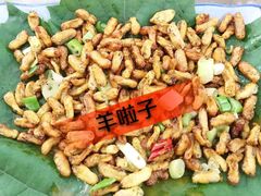 -高家大院烤全羊