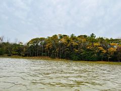 -上海海湾国家森林公园