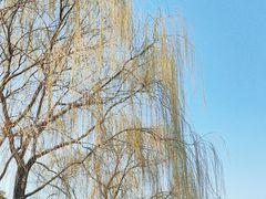 -朱仙镇启封故园景区