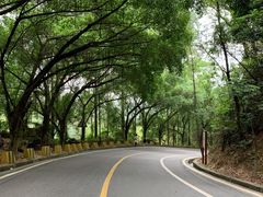 -大雁山风景区